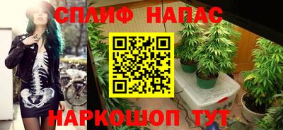 наркотики Будённовск