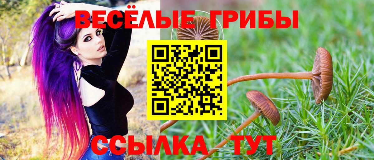 Галлюциногенные грибы MAGIC MUSHROOMS Тольятти